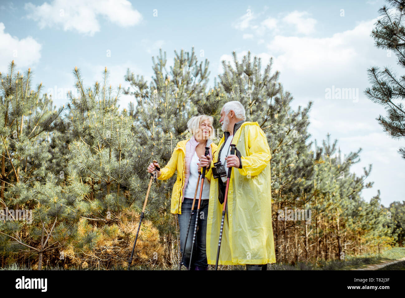 Felice coppia senior in giallo raincoats escursionismo con bastoncini da trekking nel giovane foresta di pini. Concetto di uno stile di vita attivo su pensionamento Foto Stock