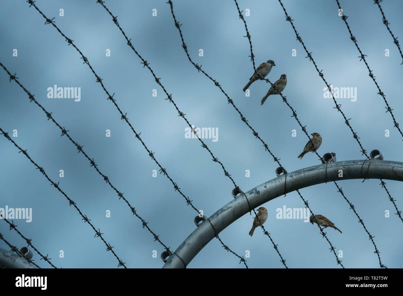 Papua Nuova Guinea, Golfo di Papua, Capitale Nazionale di Port Moresby, città di Bomana prigione Foto Stock