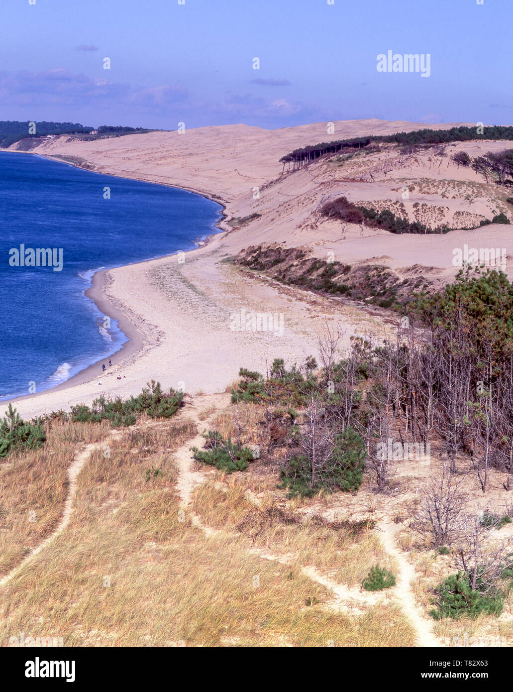 La Duna del Pilat è a 110m le più alte dune di sabbia in Europa.it è di circa 10k a sud di Arcachon sulla costa atlantica della Francia. Foto Stock