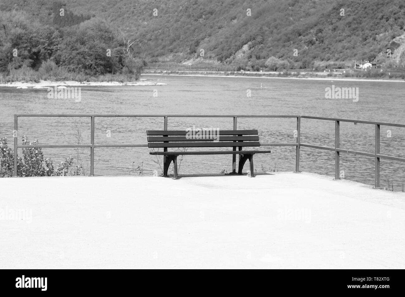 Banco isolato nei pressi del fiume Reno (Bacharach, Germania, Europa) Foto Stock