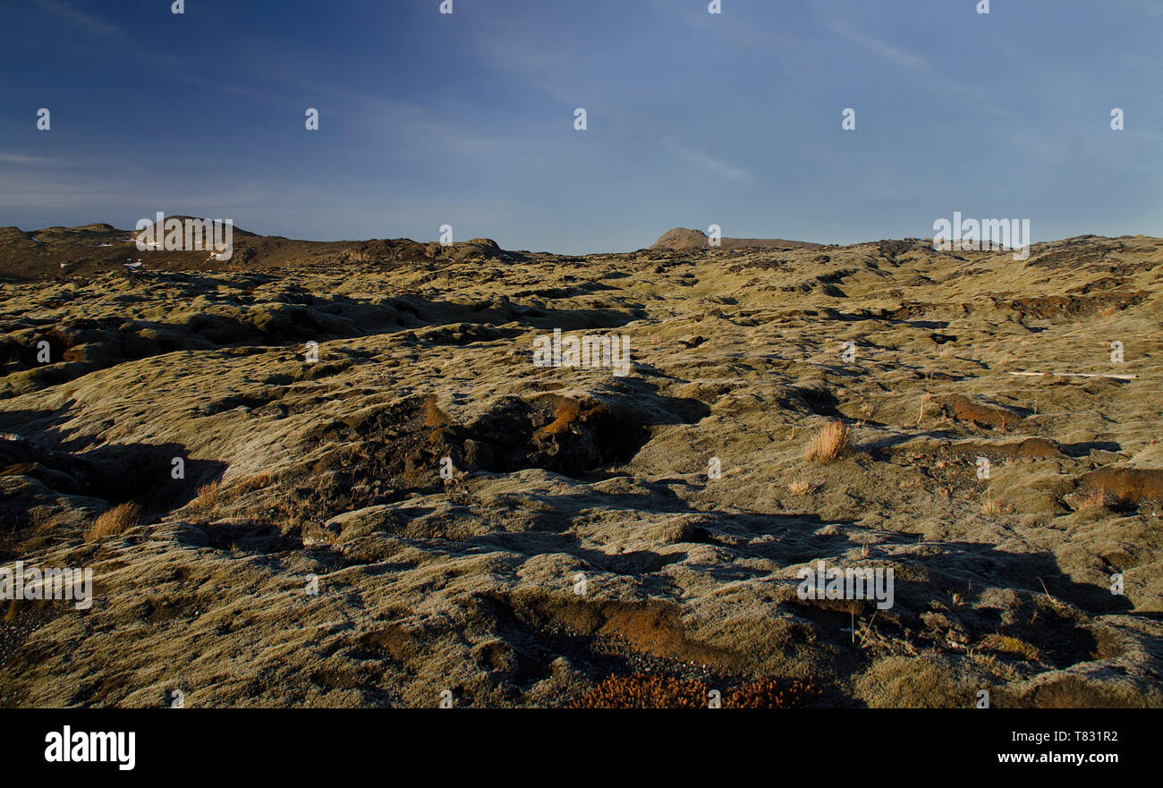 Enorme vecchio campi di lava ricoperta da muschio islandese in un open-air color smeraldo. L'Islanda, il muschio e muschio di paesaggio in un tipico giorno nuvoloso Foto Stock