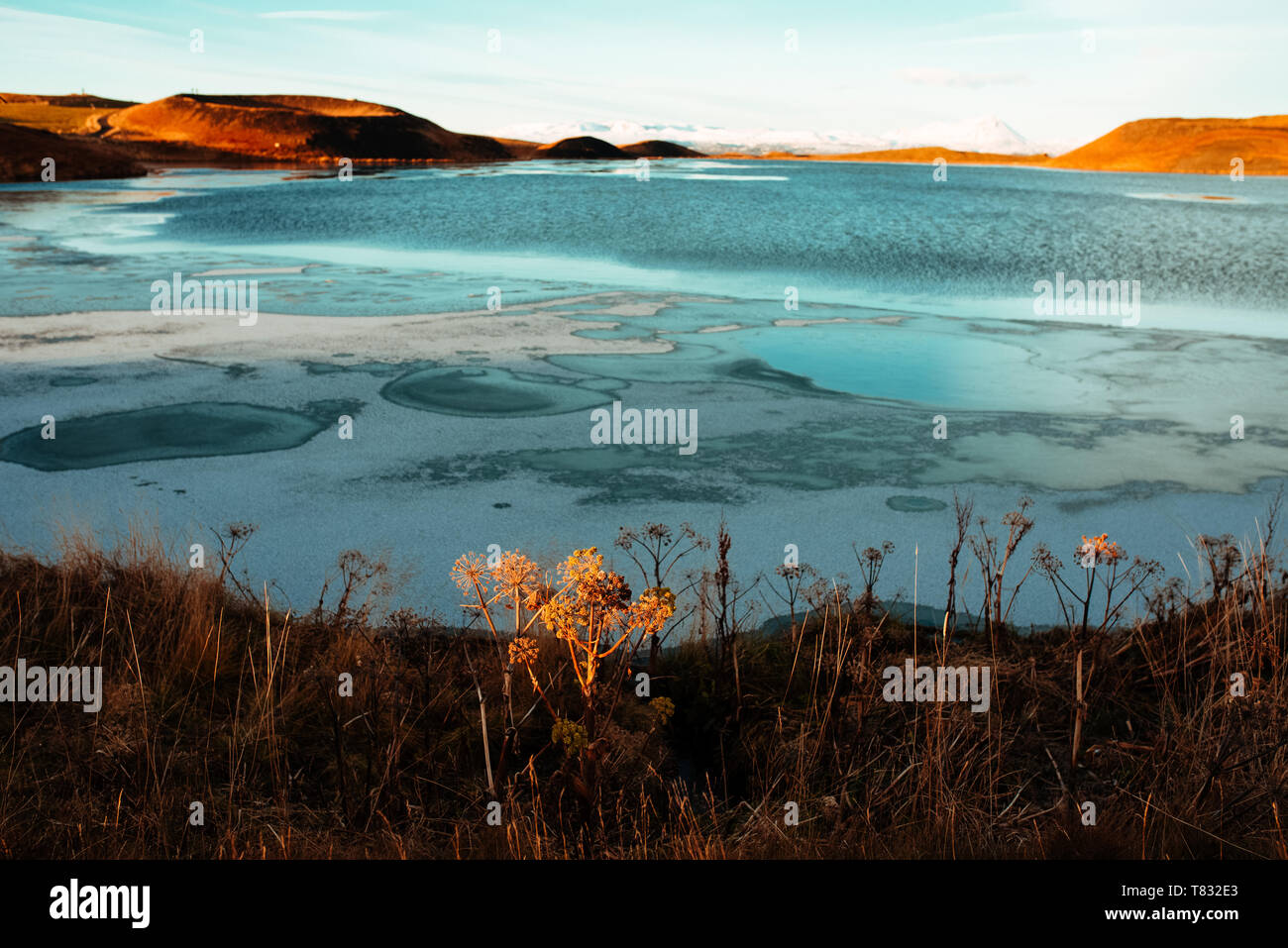 Lago Myvatn, Akureyri, Eyjafjardarsysla, Islanda Foto Stock