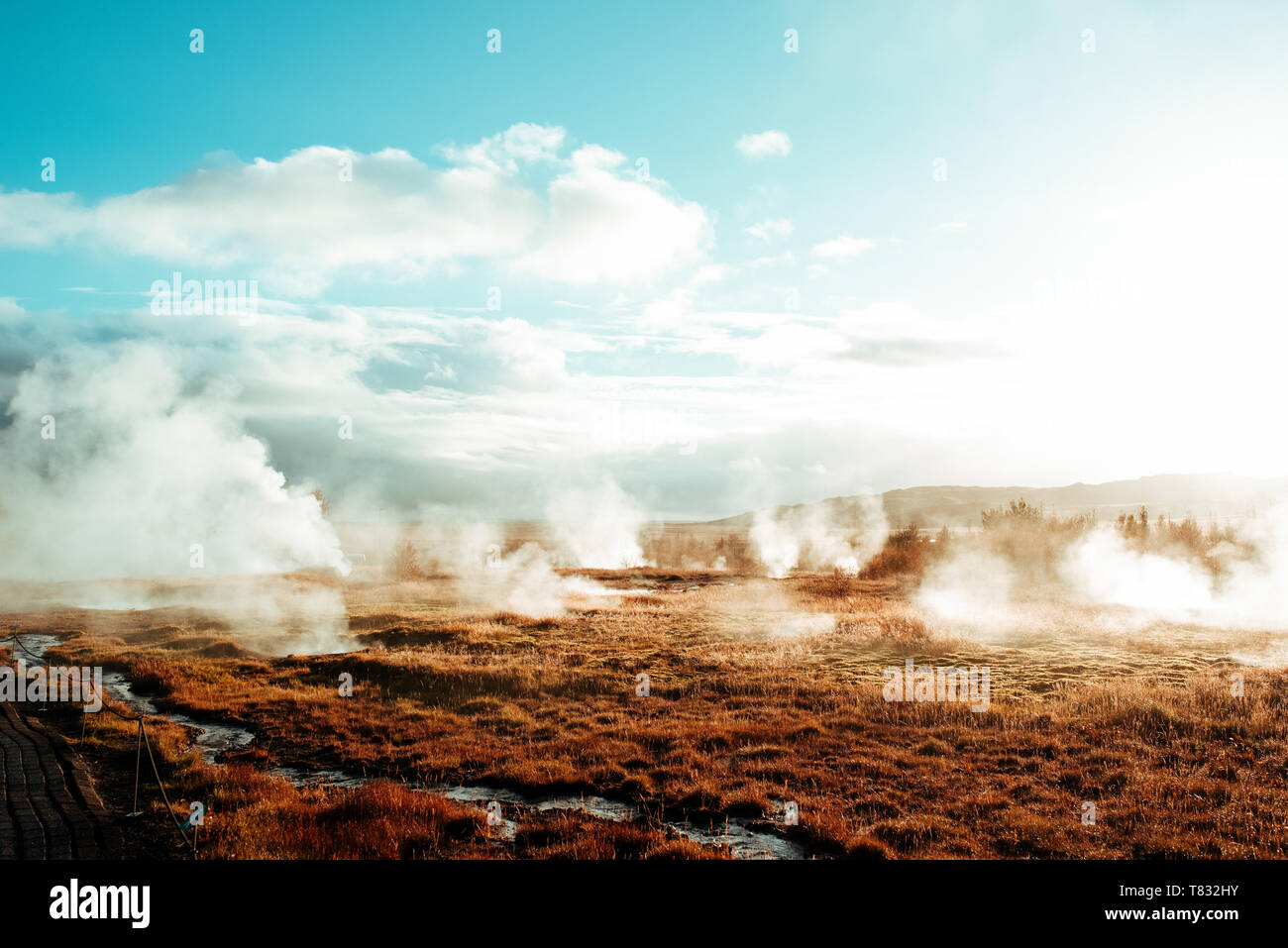 Geyser, Haukadalur, Arnessysla, Islanda Foto Stock