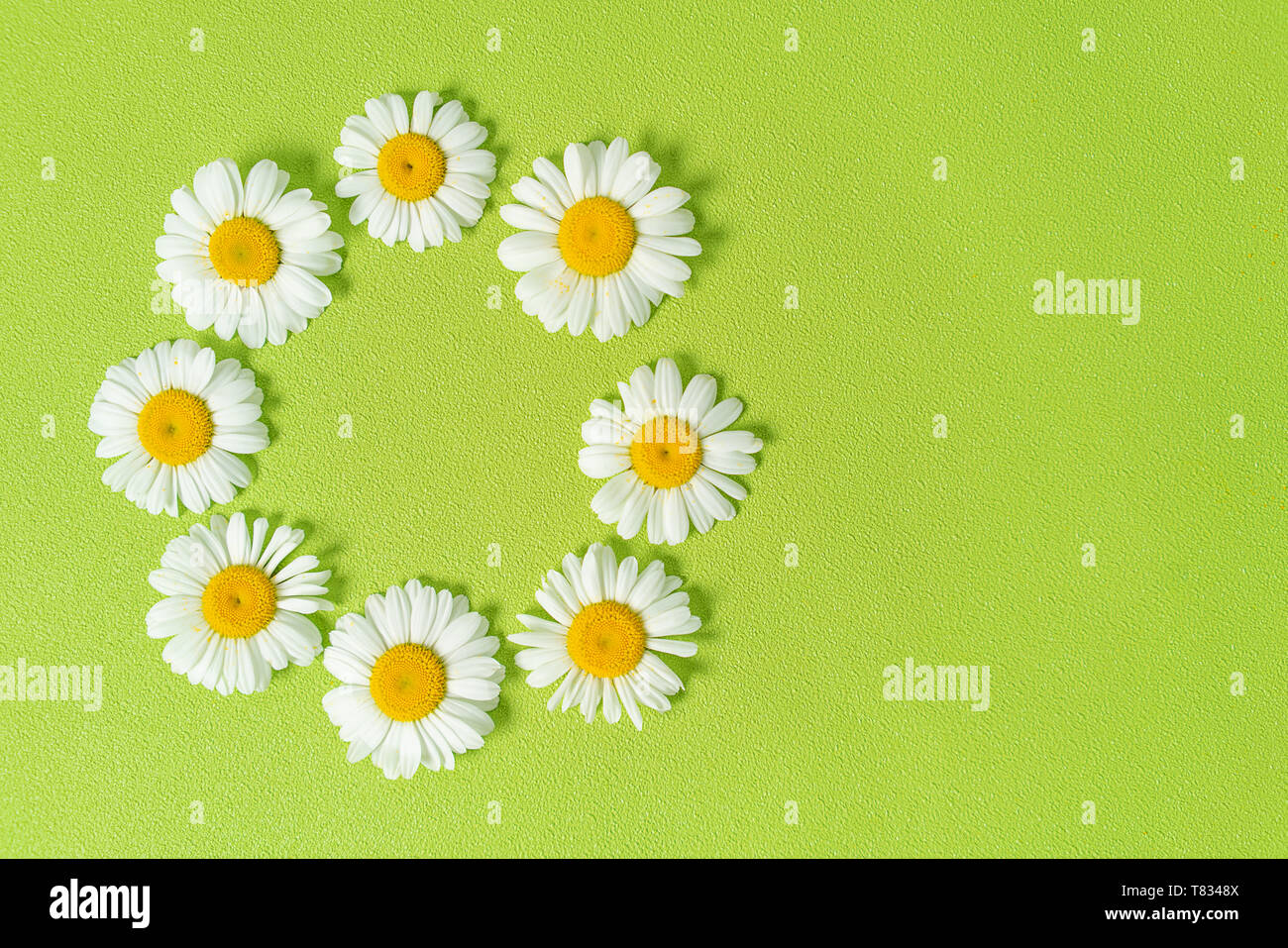 Modello realizzato di chamomiles, petali, foglie verde pastello sfondo. Primavera, estate concetto. Appartamento laico, vista dall'alto, spazio di copia Foto Stock