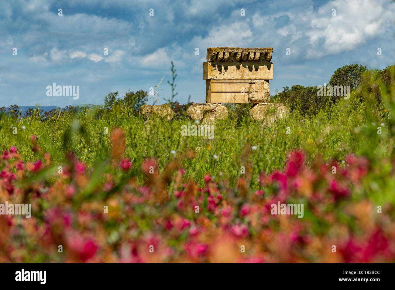 Area urbana Park, Metaponto Area Archeologica. Tempio ionico. Basilicata Foto Stock