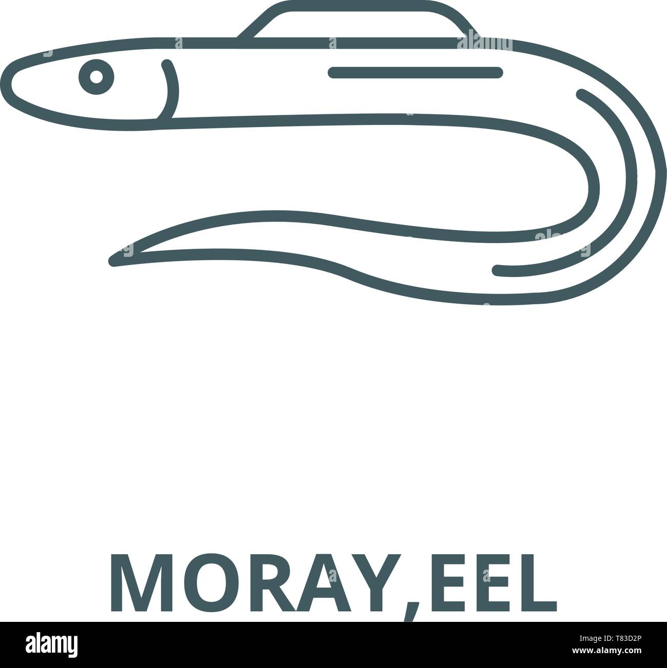 Moray eel,linea del vettore icona, concetto lineare, segno di contorno, simbolo Illustrazione Vettoriale