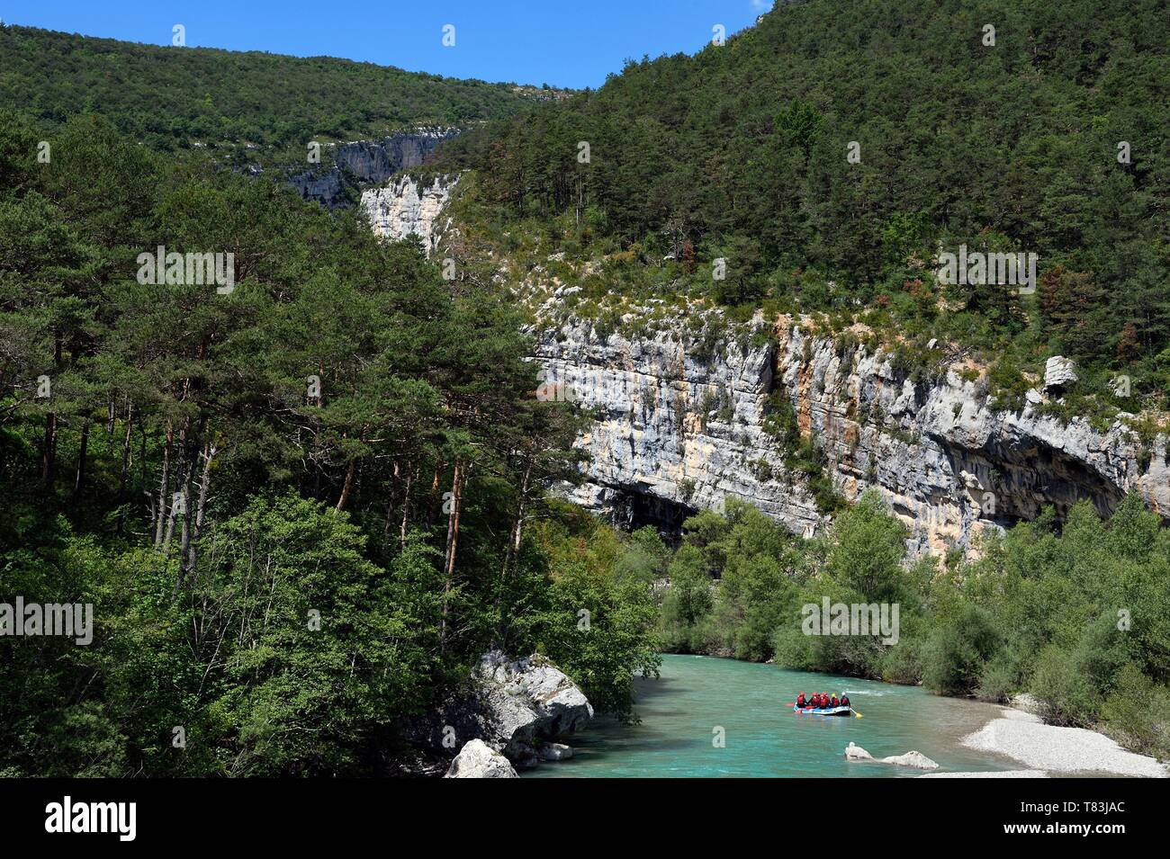 Francia, Alpes de Haute Provence, Parc Naturel Regional du Verdon, Rougon, rafting presso l'indizio (acqua gap) de Carajuan all'ingresso per le Gorges du Verdon Foto Stock