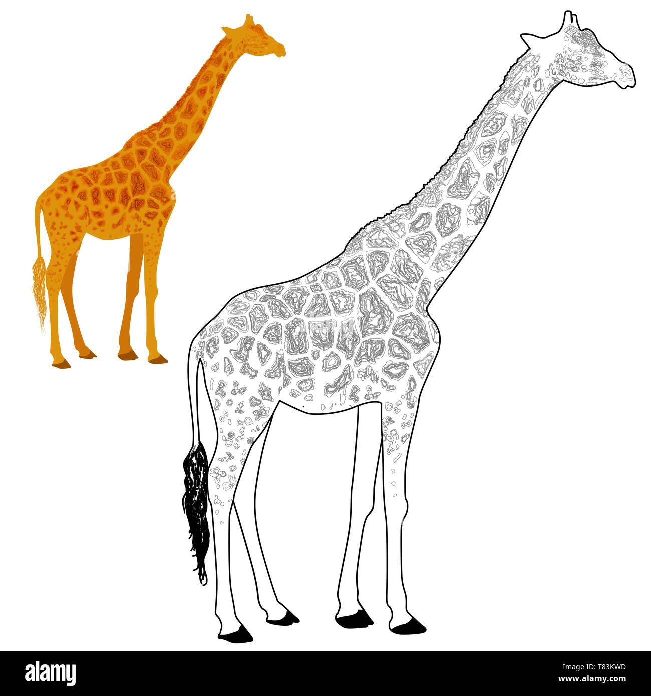 La giraffa colorazione vettore di pagina Illustrazione Vettoriale