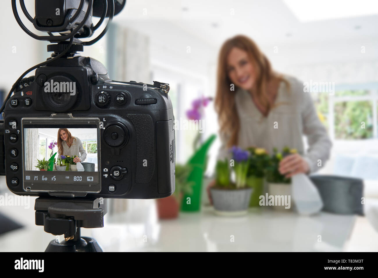 Femmina rendendo Vlogger Social Media Video sulla cura houseplant per Internet Foto Stock