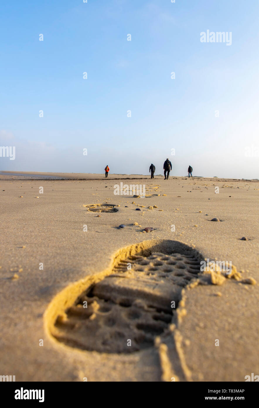 Frisone Orientali Isola del Mare del Nord Spiekeroog, il Wadden Sea National Park, in inverno, spiaggia a piedi, Germania, Foto Stock