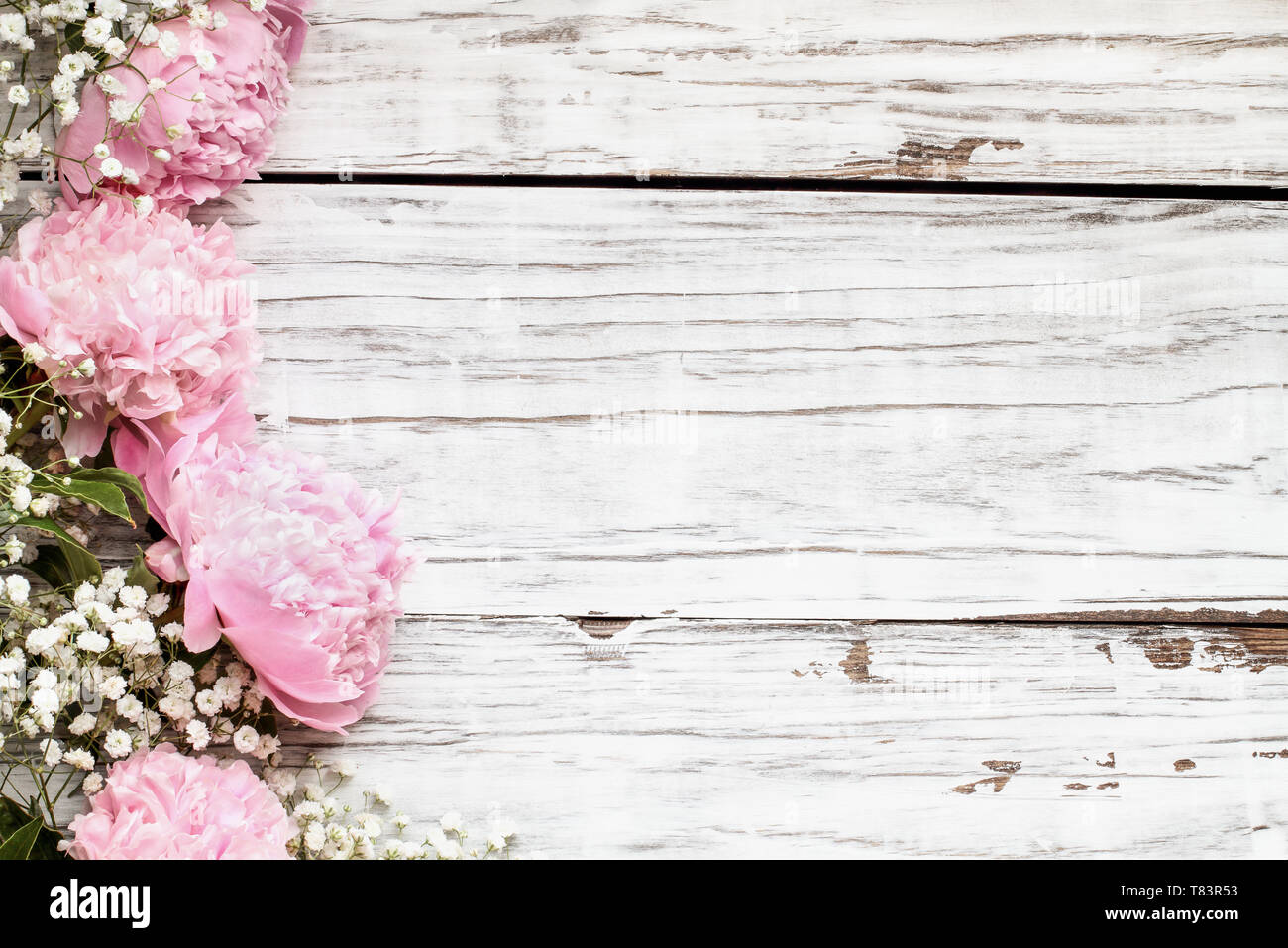 Peonie rosa e del bambino fiori di respiro su un bianco tavola in legno  rustico sfondo con copia spazio per il tuo testo. Lay piatto Foto stock -  Alamy
