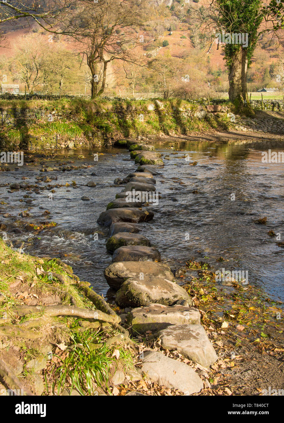 Le pietre miliari attraversare un flusso nel Lake District in Cumbria,UK un Sito Patrimonio Mondiale dell'UNESCO. Foto Stock