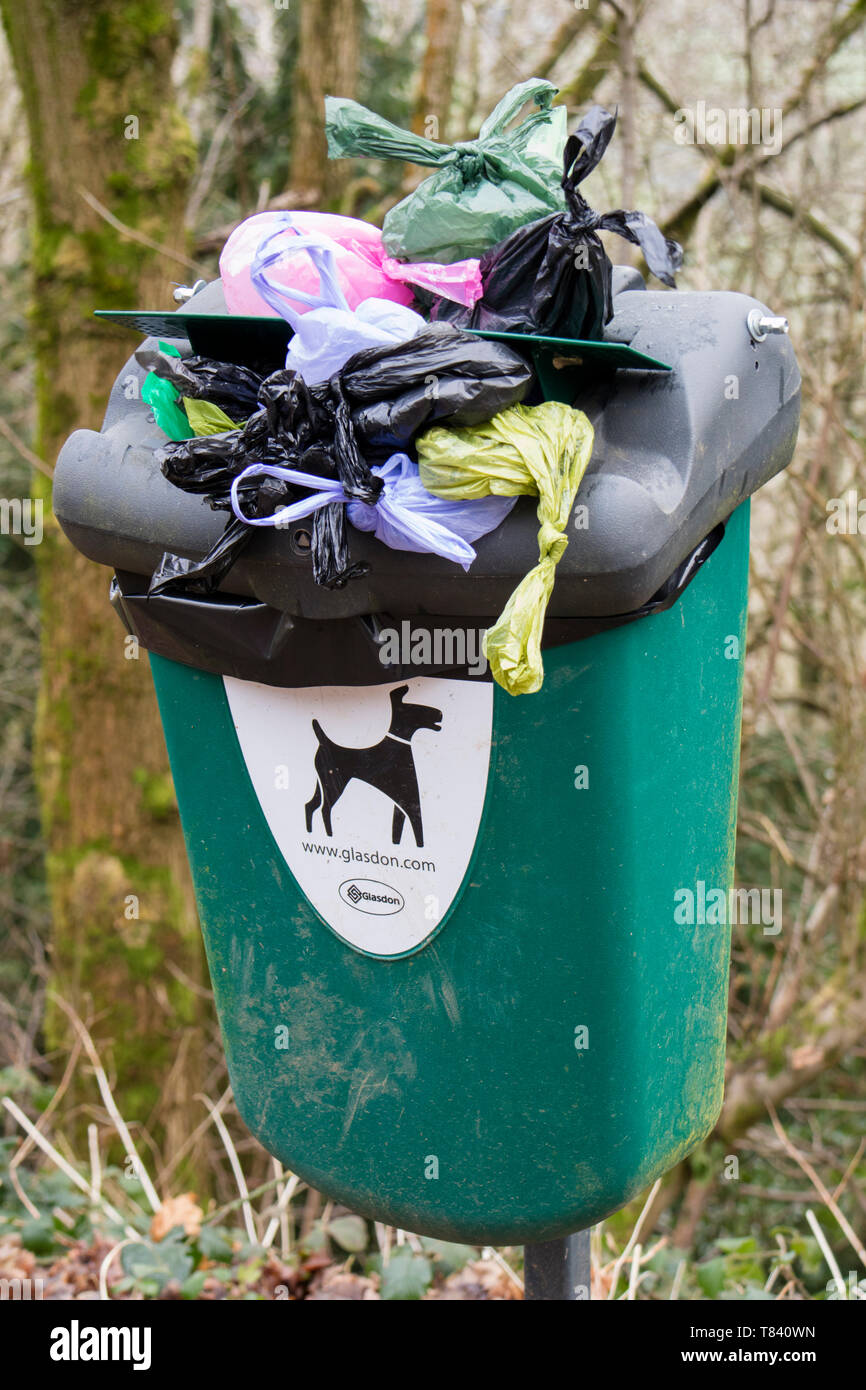 Un cane di troppo pieno bidone dei rifiuti, England, Regno Unito Foto Stock
