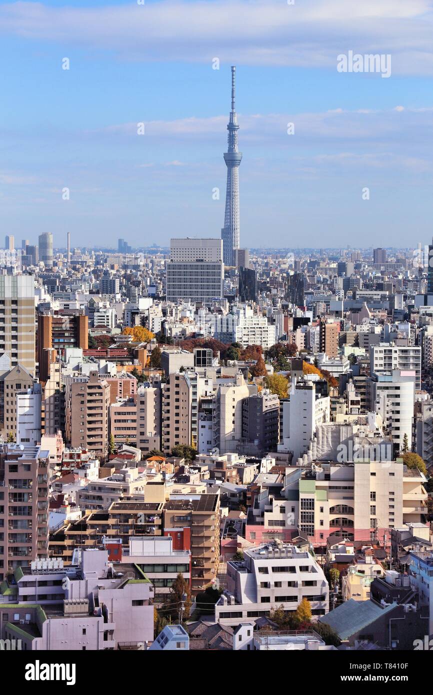 Lo skyline di Tokyo vista - paesaggio urbano in Giappone. Bunkyo Ward. Foto Stock