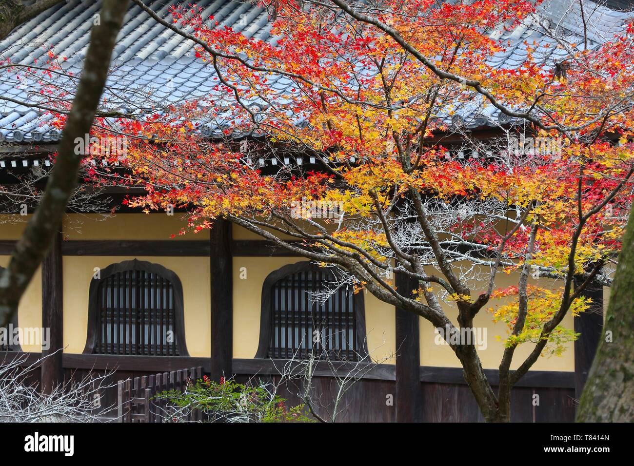 Kyoto, Giappone - Foglie di autunno a Nanzen-ji. Foto Stock