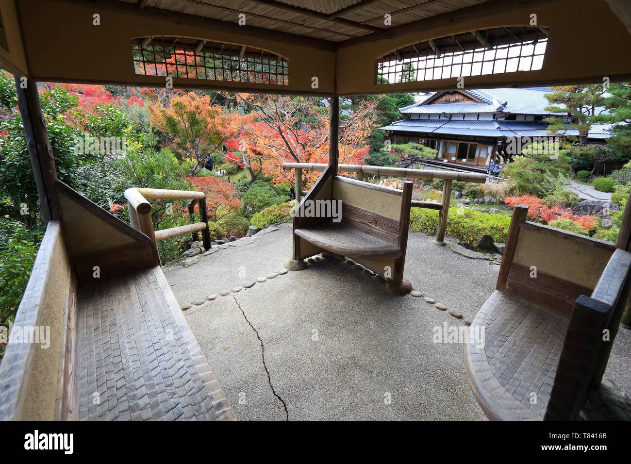 Foglie di autunno in Giappone - rosso momiji foglie (acero) in un giardino giapponese del tè di Yoshikien, Nara, Giappone. Foto Stock