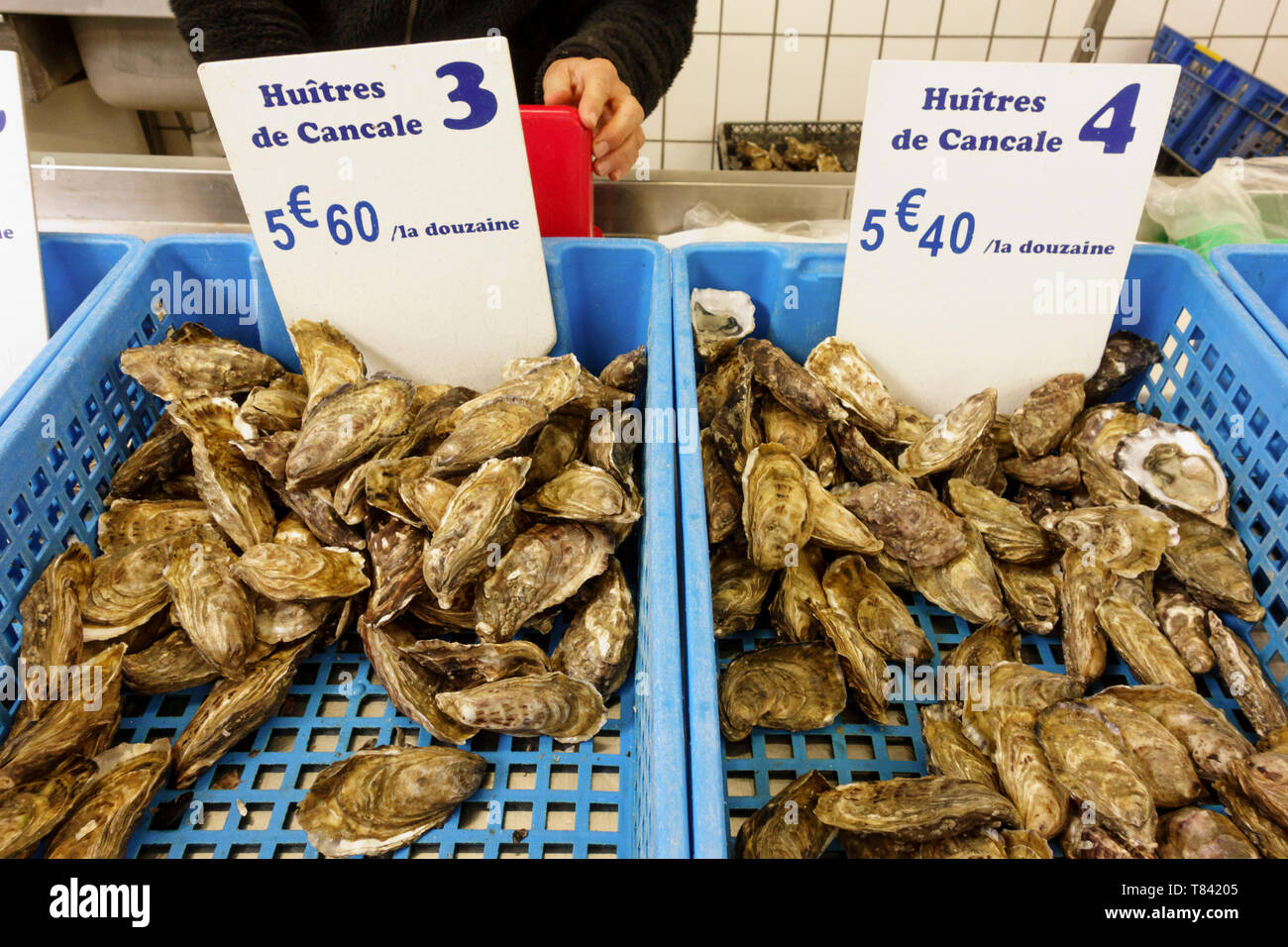 Saint Servan Mercato coperto in Paramé quartiere di Saint Malo, Bretagna, Francia Foto Stock