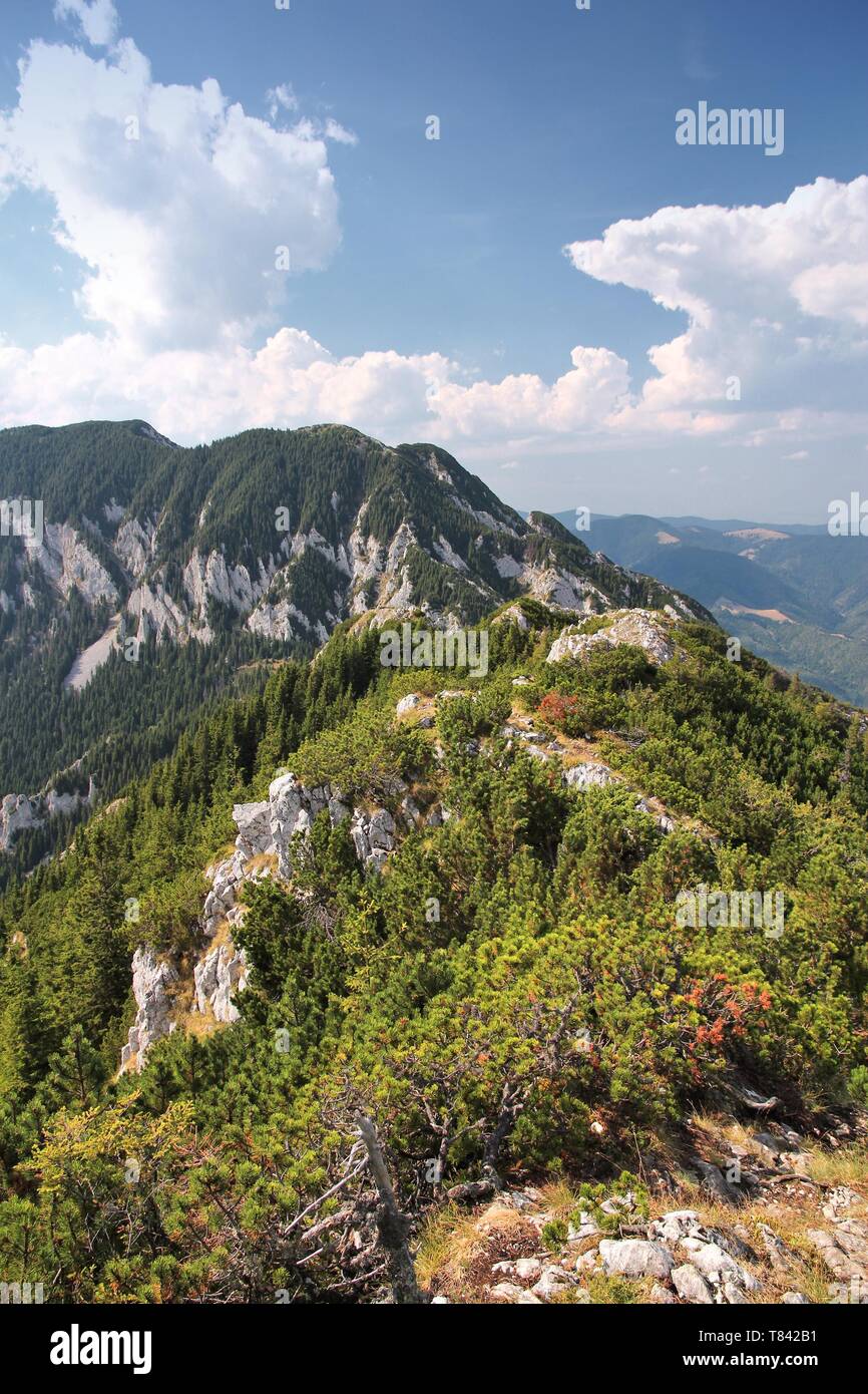 La Romania la natura. Piatra Craiului National Park - sentiero escursionistico a Piatra Mica nei Carpazi Meridionali. Foto Stock