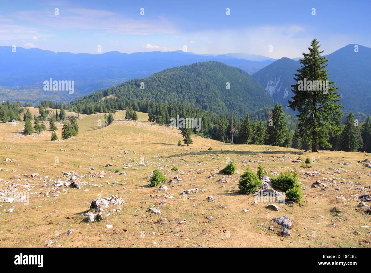 La Romania la natura. Piatra Craiului National Park - sentiero escursionistico a Piatra Mica nei Carpazi Meridionali. Foto Stock
