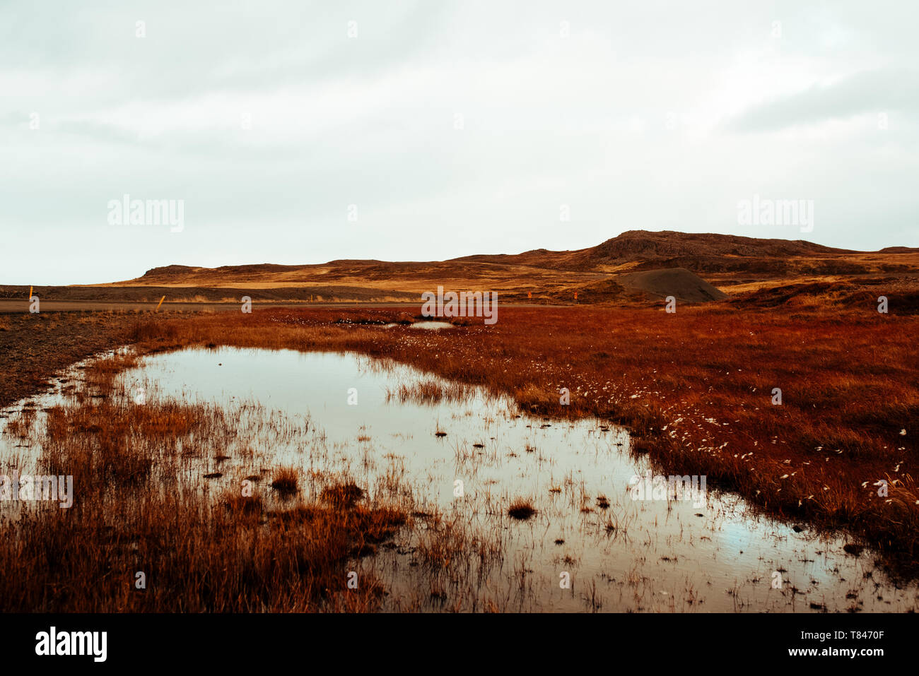 Paesaggio autunnale, Reykjavík, Gullbringusysla, Islanda Foto Stock