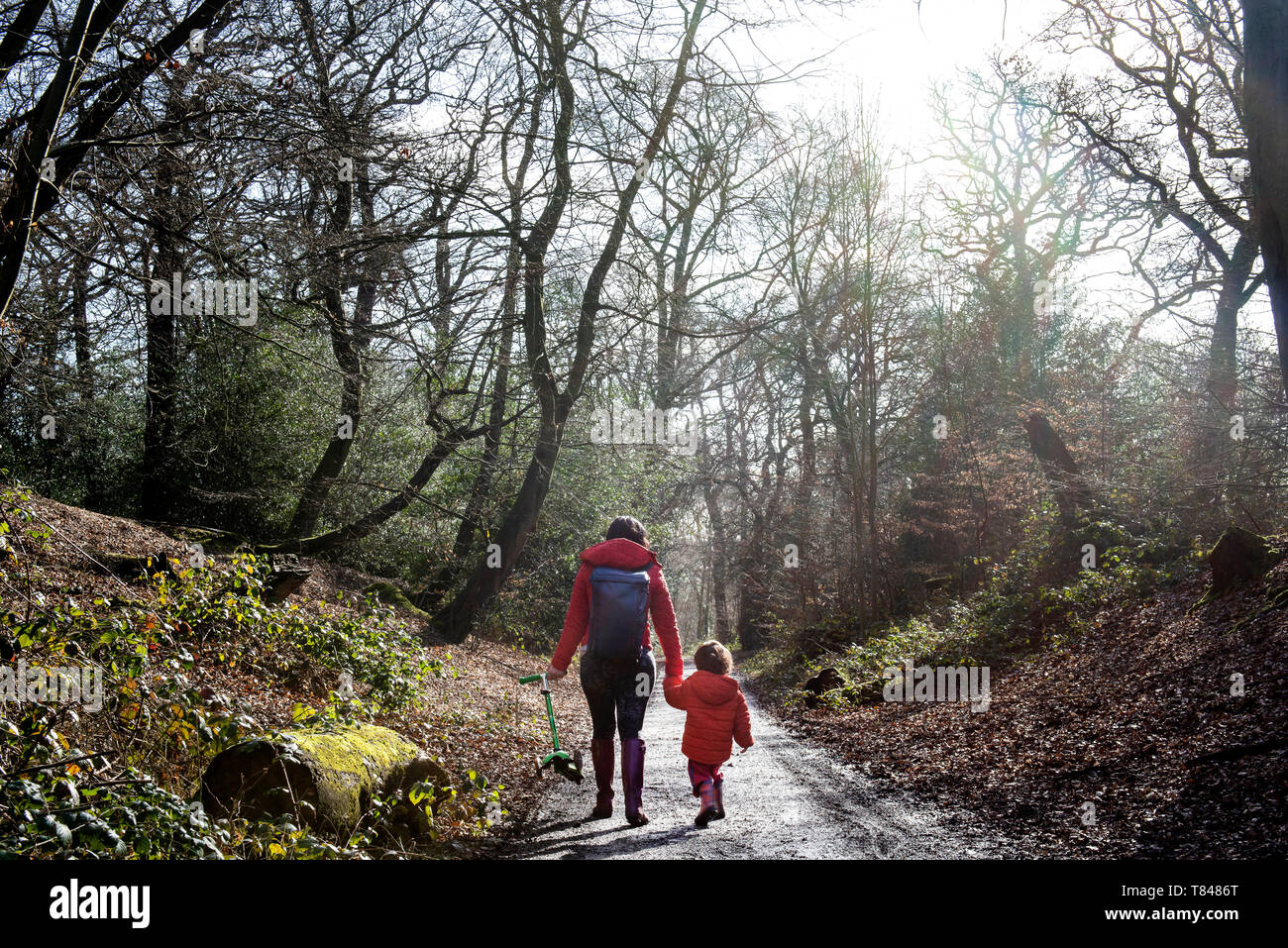 Ragazzo e madre camminando lungo la strada di bosco, vista posteriore Foto Stock