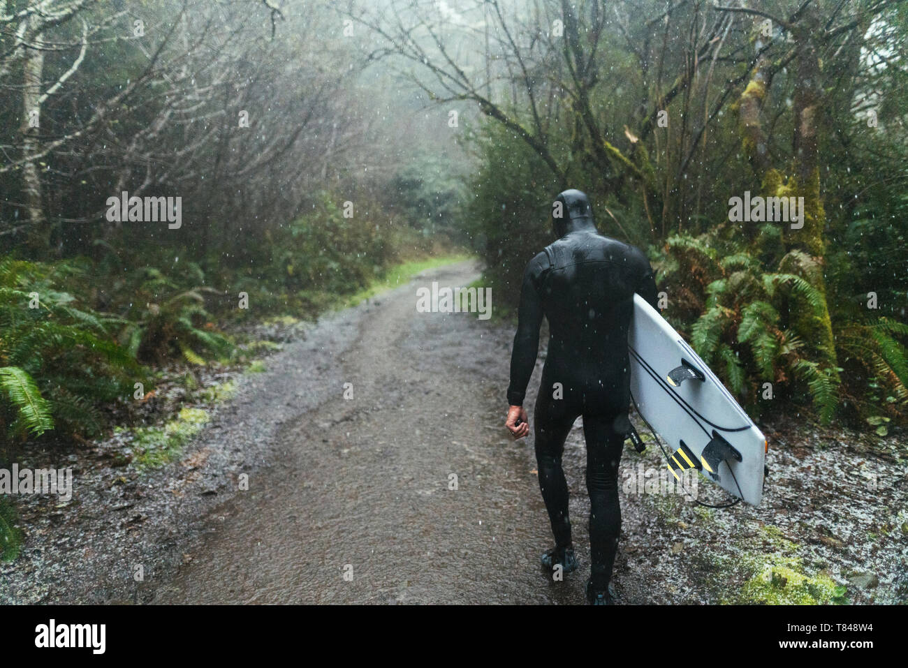 Giovane maschio surfer in wetsuit a piedi lungo puddled sporco della pista sotto la pioggia, in vista posteriore, Arcata, California, Stati Uniti Foto Stock
