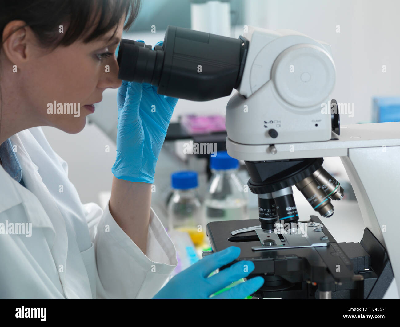 Test Medici di varietà di campioni umani inclusi sangue e del tessuto al microscopio in laboratorio Foto Stock