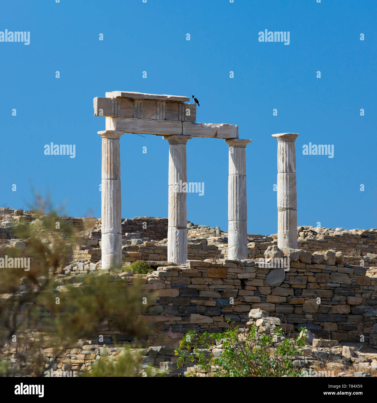Delos, Mykonos, Egeo Meridionale, Grecia. Reperti archeologici del tempio di Poseidone e di stabilimento del Poseidoniasts. Foto Stock