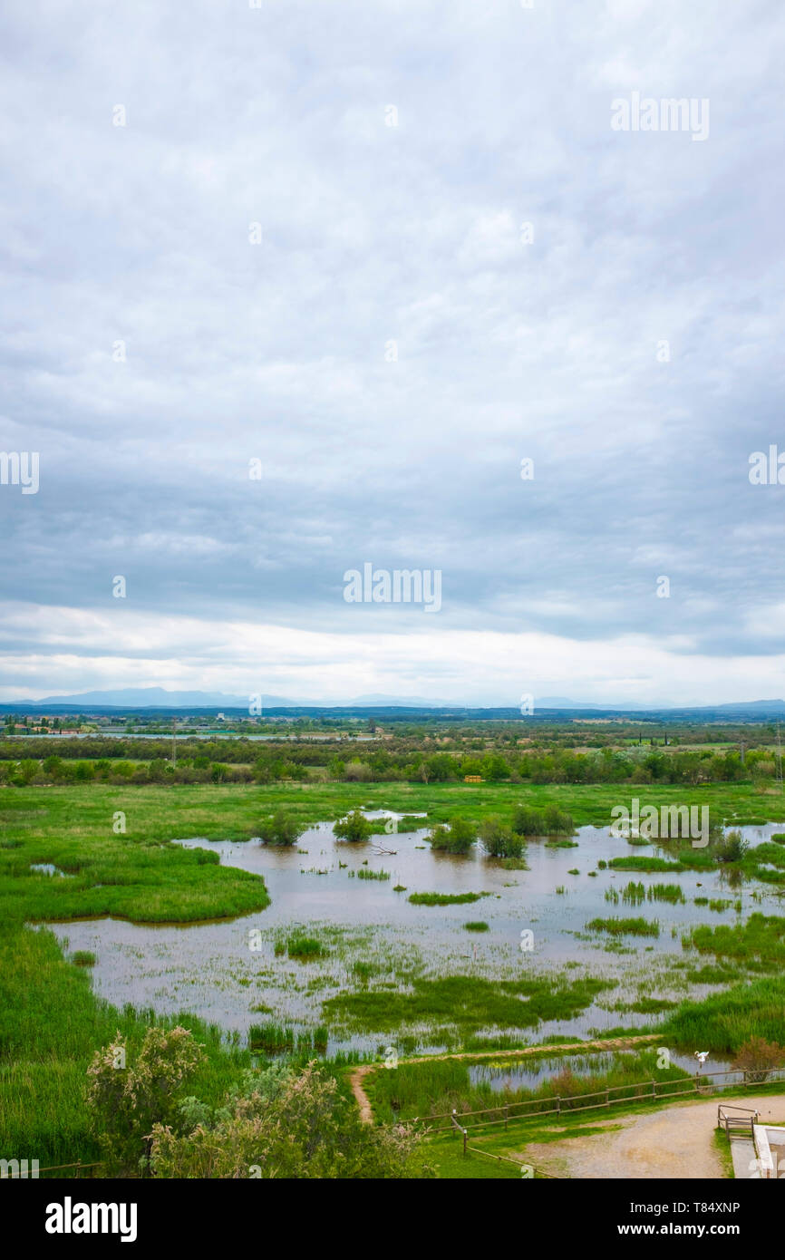Estanys del Mata, Aiguamolls de l'Empordà Parco naturale Foto Stock