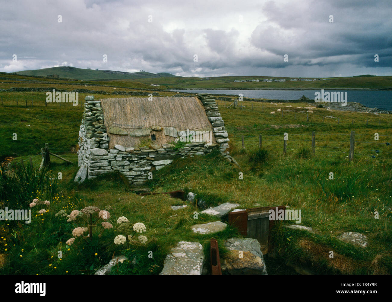 Vista posteriore del restaurato C xix secolo mulino orizzontale (banner mulino o fare clic su mill) & mill leat a Shetland Croft House Museum, Boddam, Scotland, Regno Unito. Foto Stock