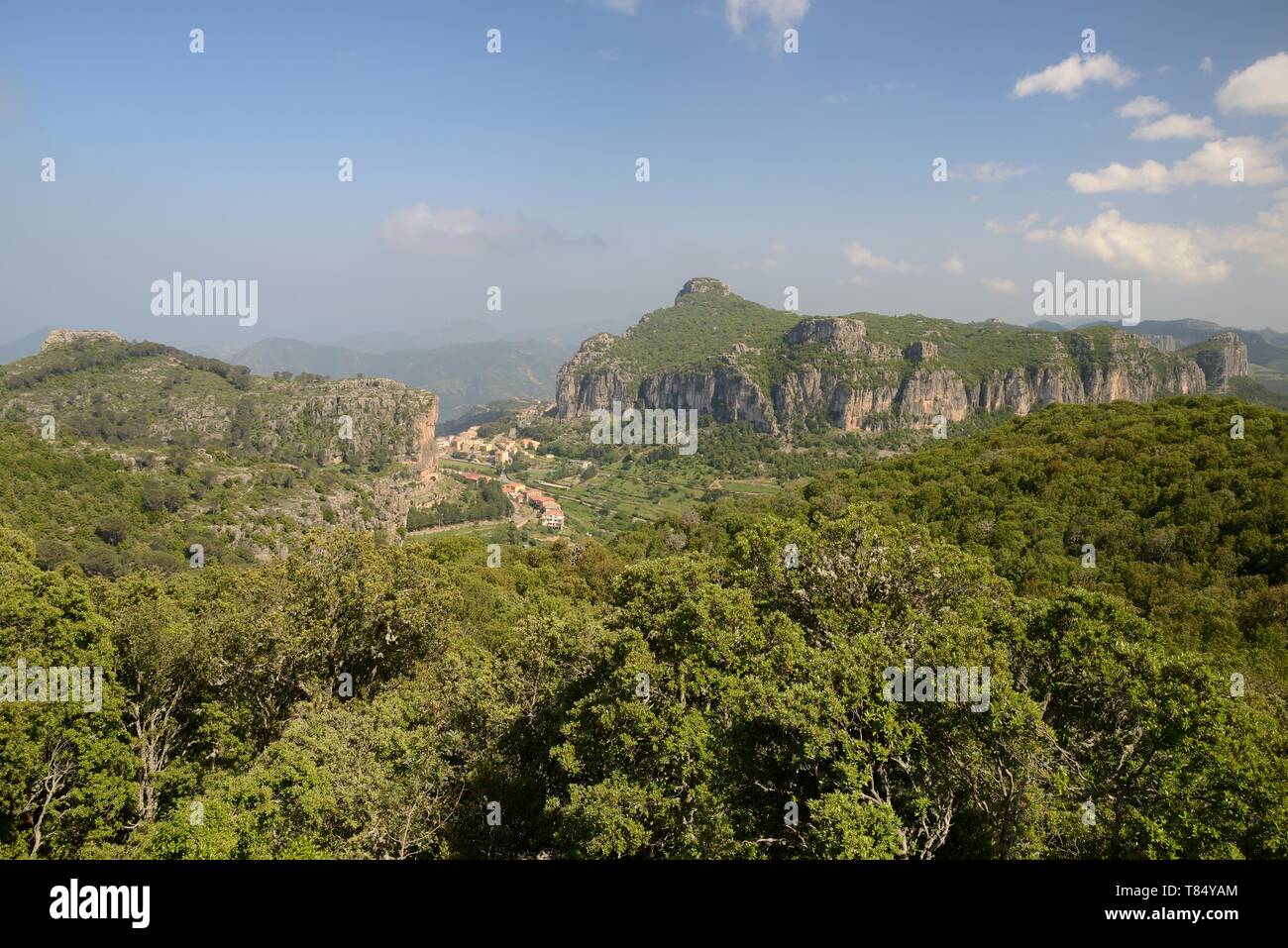 Ulassai villaggio di montagna circondato a ripide scogliere calcaree o taccus e Misto bosco di latifoglie con dolci castagno (Castanea satvia) leccio ( Foto Stock