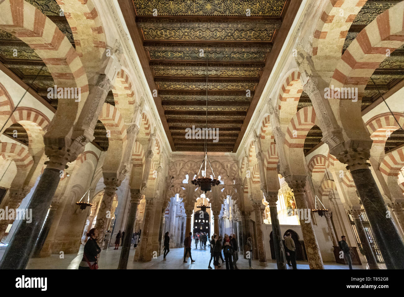 Portici hypostyle hall, con 856 colonne di Jasper, Onyx, marmo, granito e porfido moschea-cattedrale di Cordoba, Cattedrale Mezquita di Cordova, Andalusia, Spagna Foto Stock