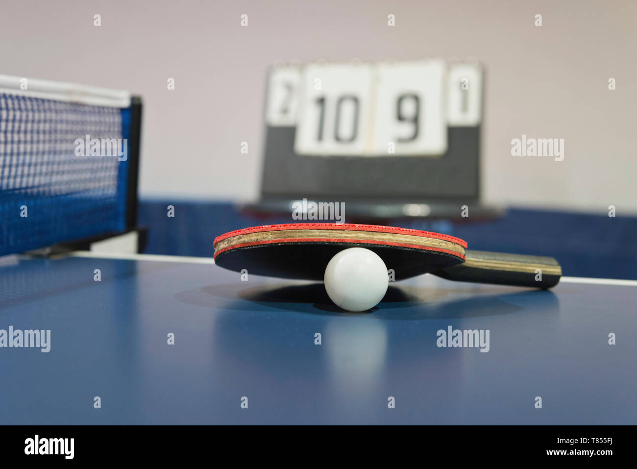 Ping pong palla e bat Foto Stock