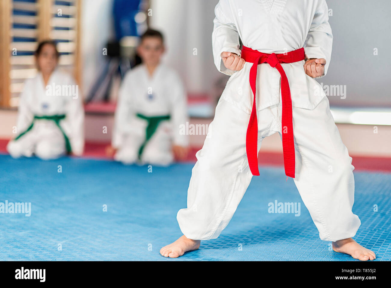 Livre Taekwondo - Histoire, Pratique, Techniques - Orlando Saccomanno - Luni Editrice (2023)