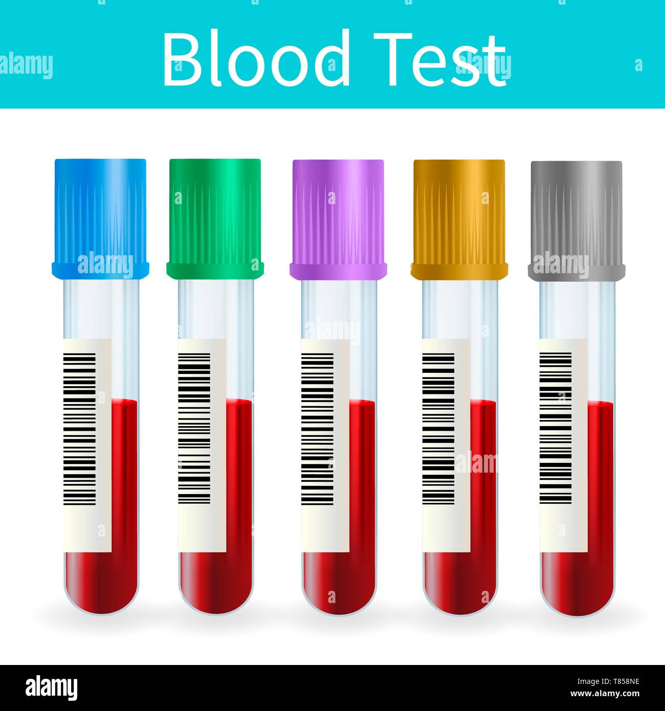 Campione di sangue tubi, illustrazione Foto Stock
