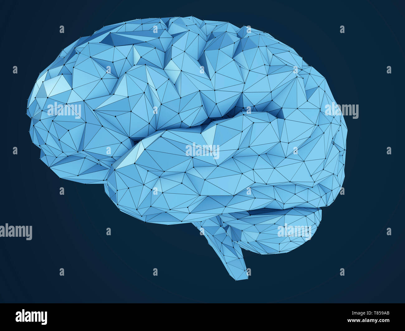 Cervello umano, illustrazione Foto Stock