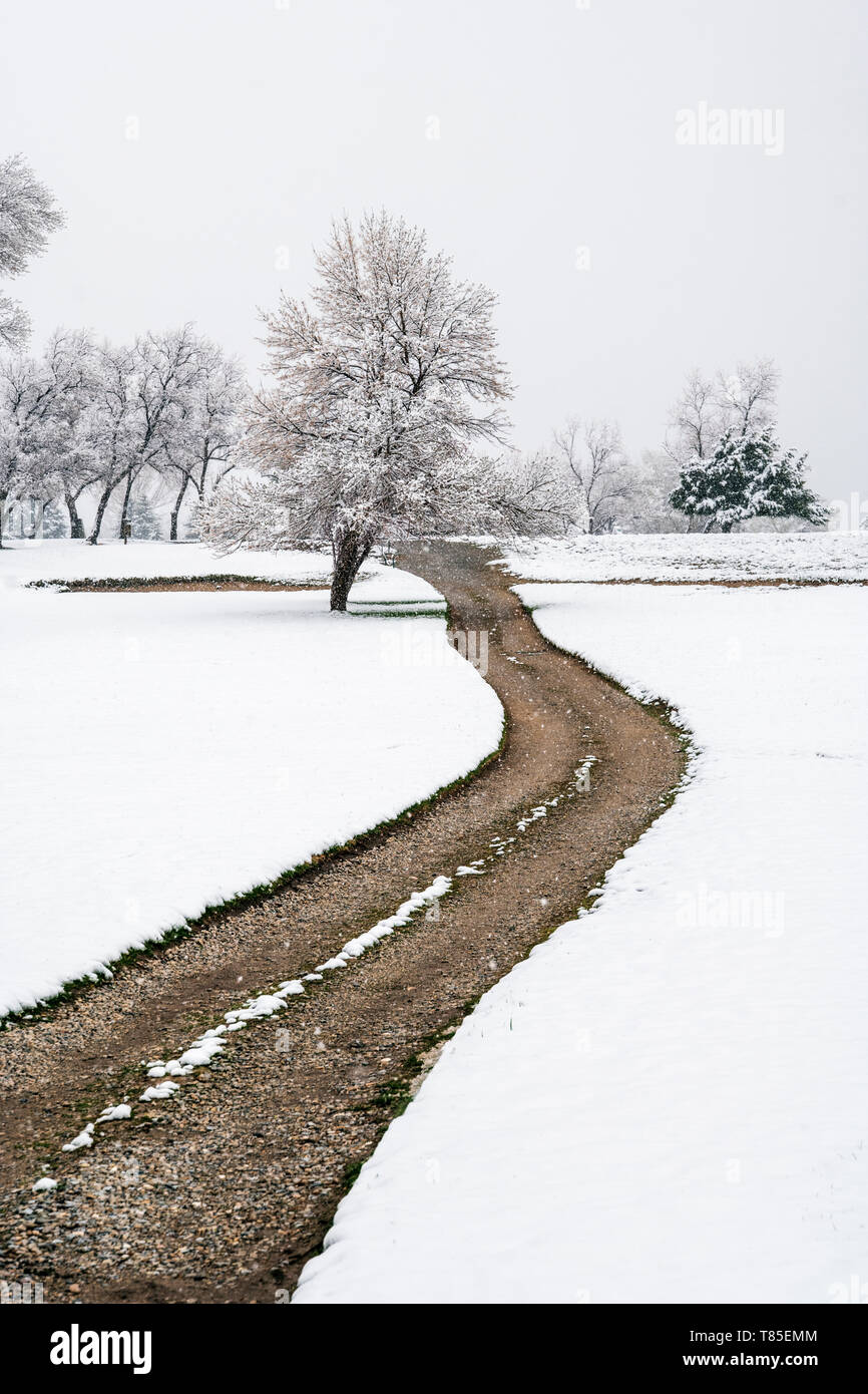 Percorso sporco avvolgimento attraverso freschi 9 maggio neve di primavera Foto Stock