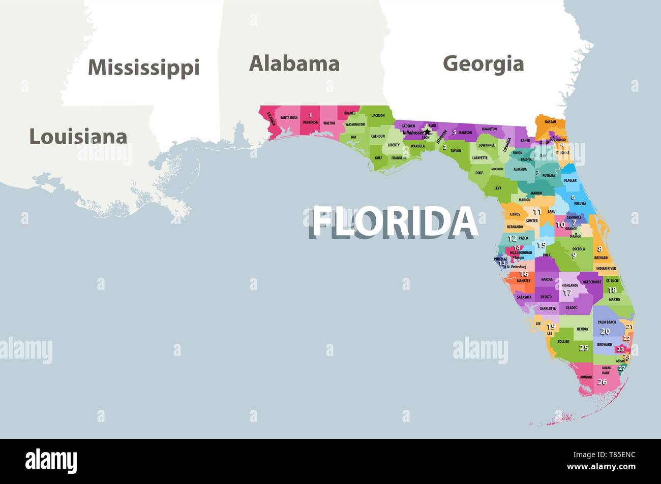Della Florida distretti congressuali per il Congresso 115(2017-2019) mappa vettoriale Illustrazione Vettoriale