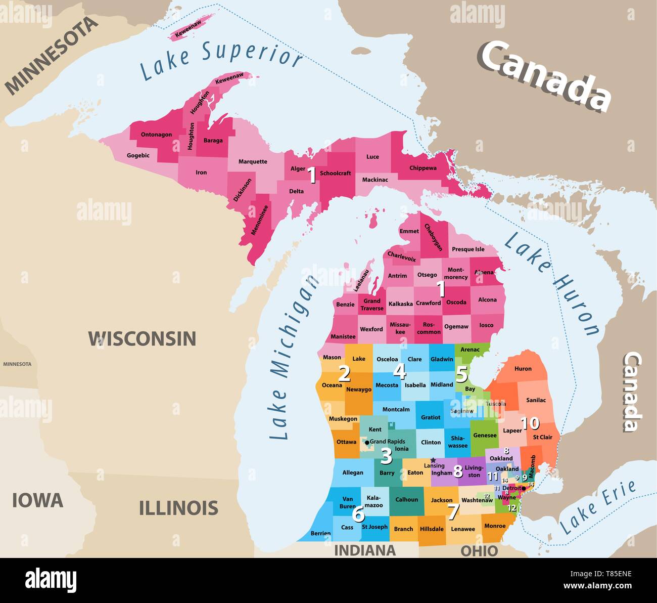 Michigan's distretti alta dettagliata mappa vettoriale Illustrazione Vettoriale