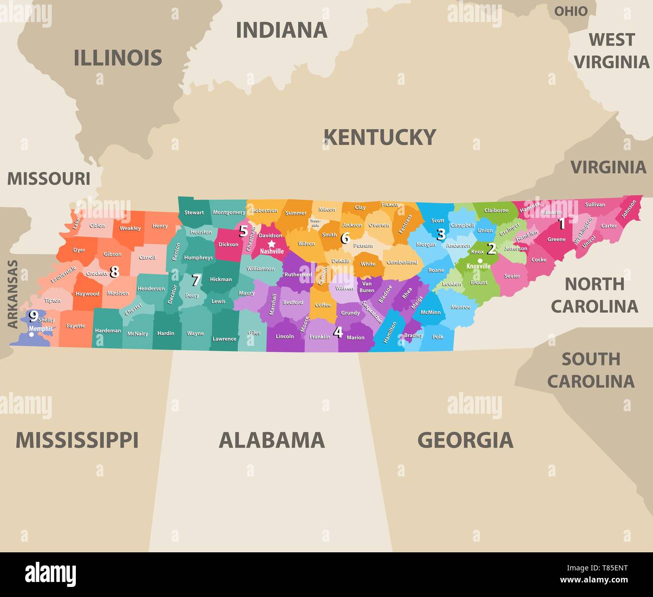 Vettore di Tennessee congressional distrcits mappa con gli Stati più vicini Illustrazione Vettoriale