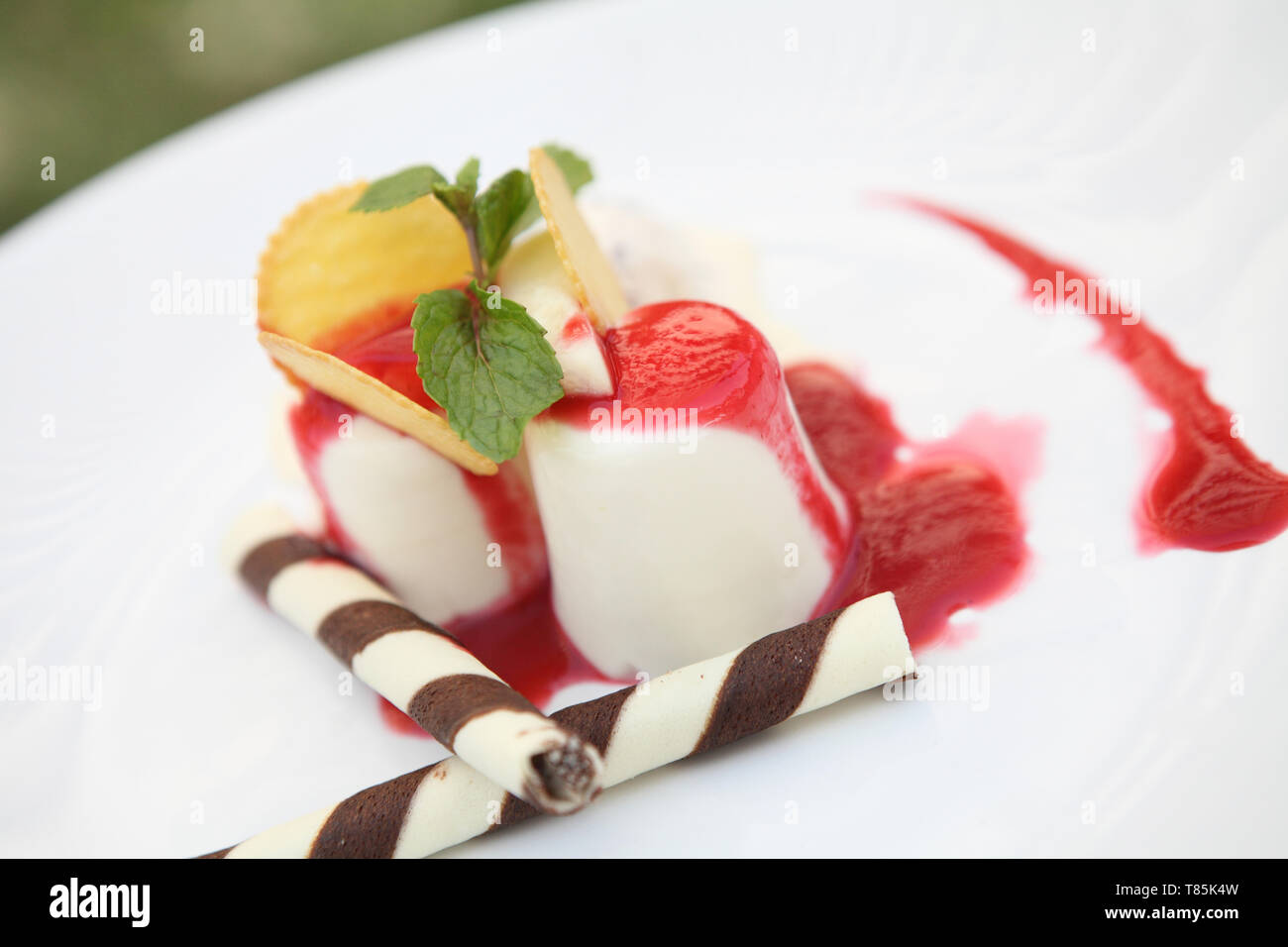 Fragola Panna Cotta pudding con gelato Foto Stock