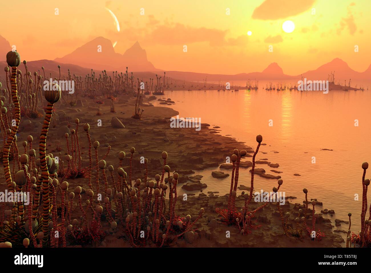 Piante aliene su un esopianeta, illustrazione Foto Stock