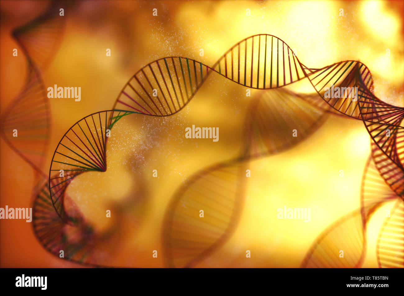 Le molecole di DNA, illustrazione Foto Stock
