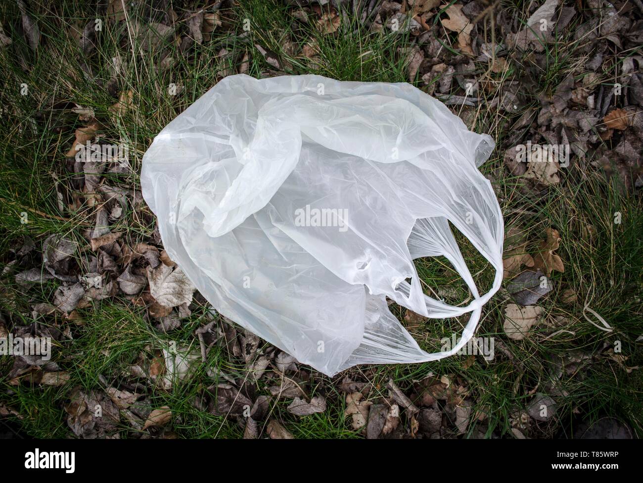 Scartato il sacchetto in plastica Foto Stock