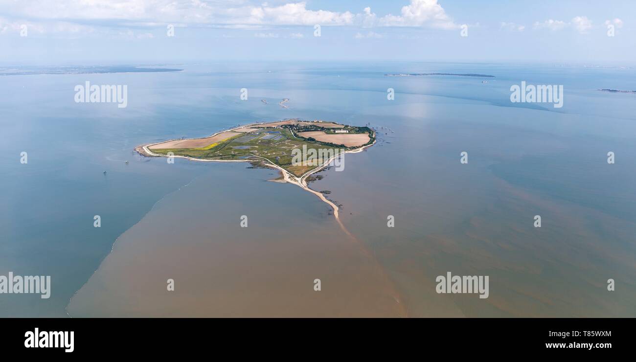 Francia, Charente Maritime, Madame isola, Madame island e il suo percorso di accesso a bassa marea : la Passe aux Boeufs (vista aerea) Foto Stock