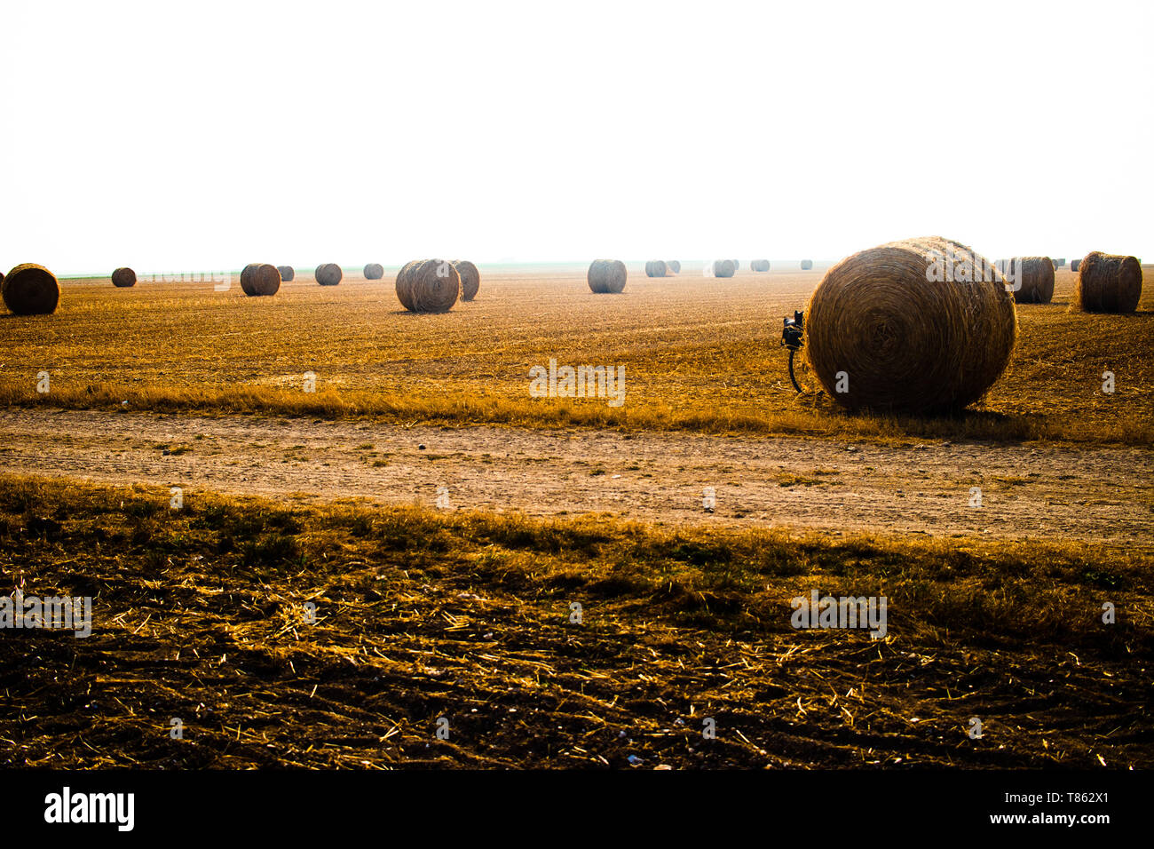 Touring bike nascosta da una palla di fieno in un grande orangee-campo colorato Foto Stock