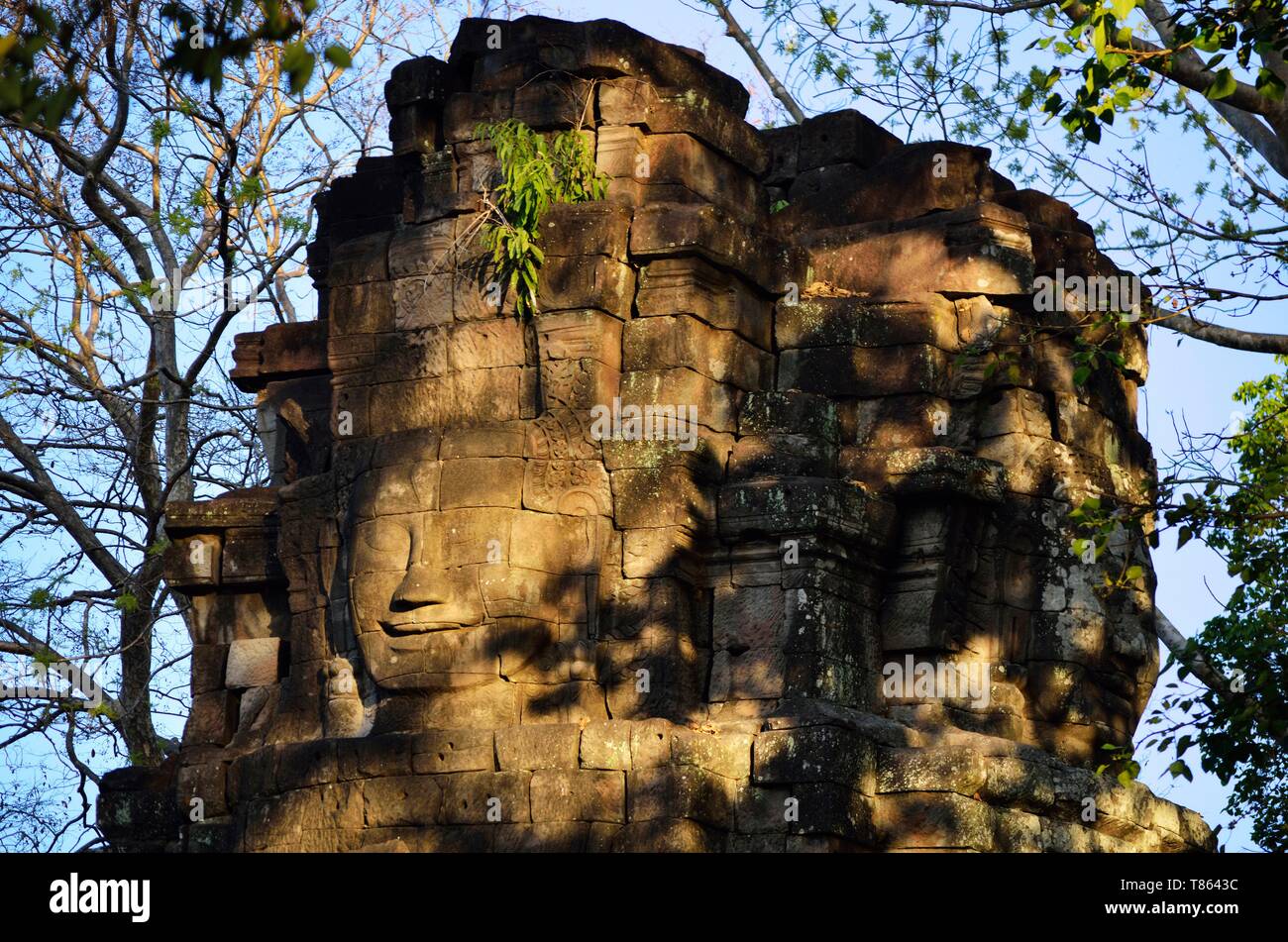 Cambogia, Preah Vihear provincia, tempio di Preah Khan di Kampong Svay o Prasat Bakan, datata 11 secolo, costruito da Suryavarman II e restaurato da Jayavarman VII Foto Stock