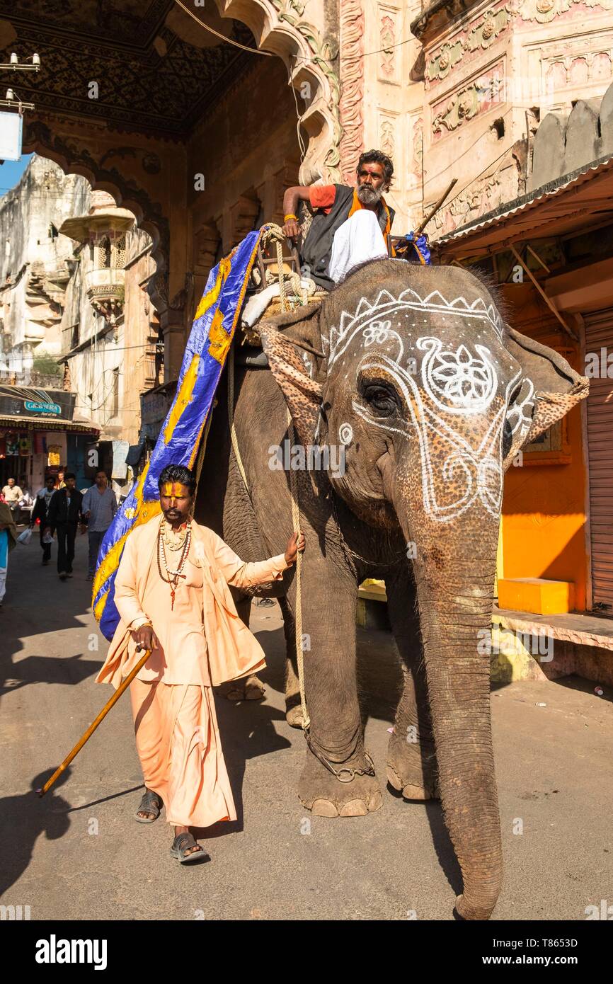 India Rajasthan, Bundi, Bundi Utsav festival ogni anno nel mese di novembre Foto Stock