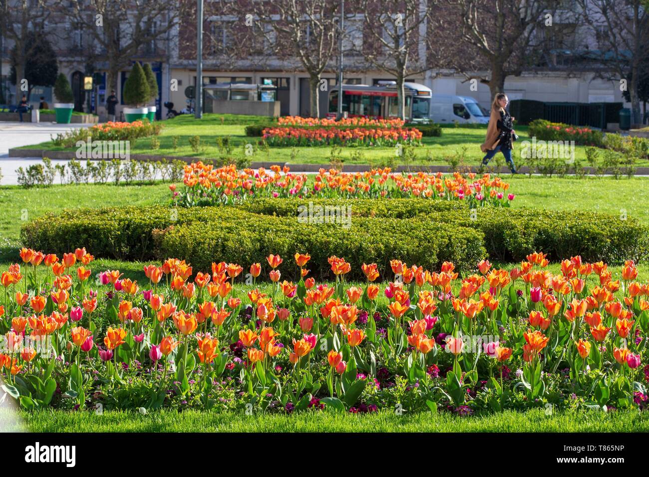 Francia, Hauts de Seine, Puteaux, tulipani sulla spianata del Municipio Foto Stock