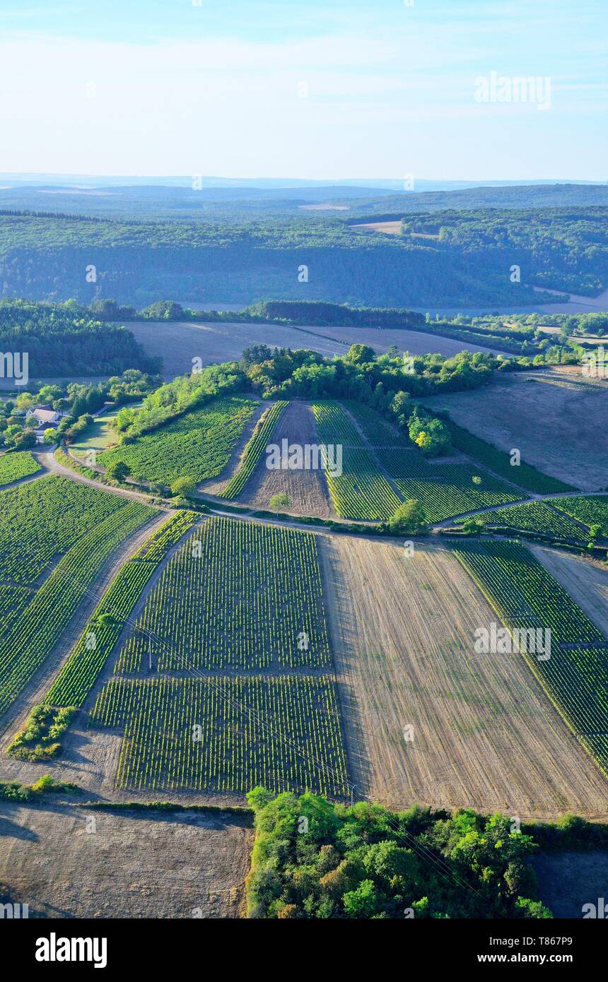 Francia, Yonne, parco naturale regionale del Morvan, campagna nei pressi di Vezelay (vista aerea) Foto Stock